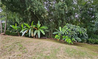 Venta Lote Vereda la Popa Via tebaida
