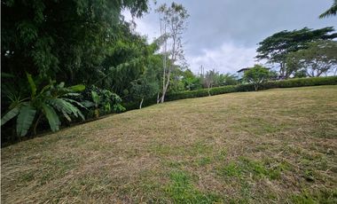 Venta Lote Vereda la Popa Via tebaida
