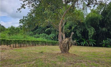 Venta Lote Vereda la Popa Via tebaida