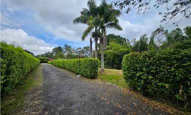 Venta Lote Vereda la Popa Via tebaida
