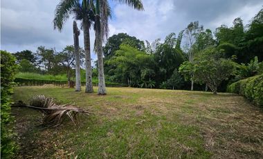 Venta Lote Vereda la Popa Via tebaida