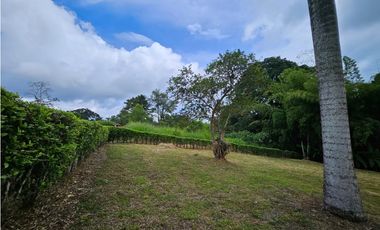 Venta Lote Vereda la Popa Via tebaida