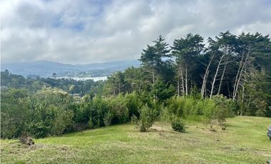 Venta de Lote en El Retiro