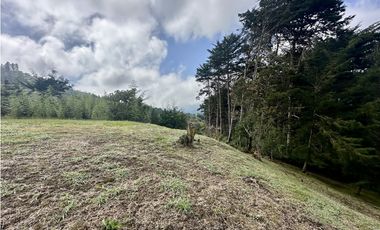 Venta de Lote en El Retiro