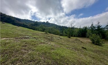 Venta de Lote en El Retiro