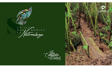 VENTA LOTES CONDOMINIO CAMPESTRE SECTOR PUEBLITO CAFETERO PEREIRA