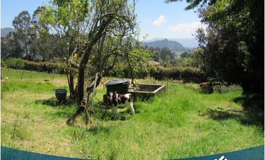 Vendo Lote 2.774 Mts en Tabio Rio Frio Occidental