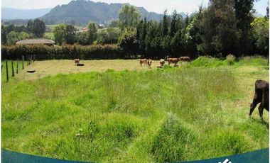 Vendo Lote 2.774 Mts en Tabio Rio Frio Occidental