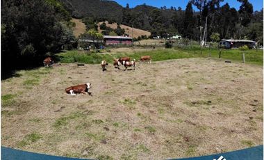 Vendo Lote 2.774 Mts en Tabio Rio Frio Occidental