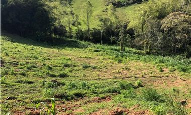 vendo lote Marinilla, para subdividir. 11.300 m2 CH-GG