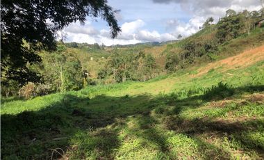 vendo lote Marinilla, para subdividir. 11.300 m2 CH-GG