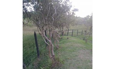 Venta de lote en Marinilla, Antioquia