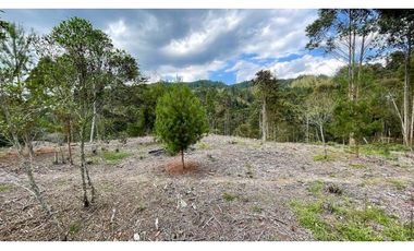 Venta de lote en El Retiro