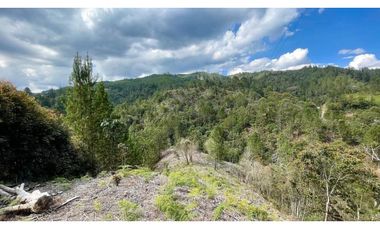 Venta de lote en El Retiro