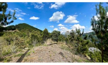 Venta de lote en El Retiro