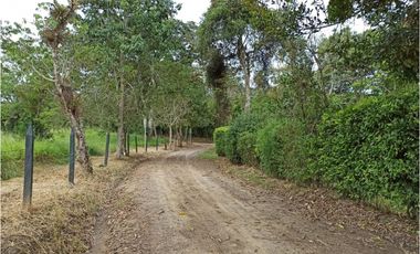 Maat vende finca en vereda Cune-Villeta 24.000m2 $1.350Millones
