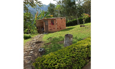 Maat vende finca en vereda Cune-Villeta 24.000m2 $1.350Millones