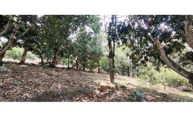 Casalote de 1600 M2 en 185 mill en La Mesa Cund, a 12 min del pueblo