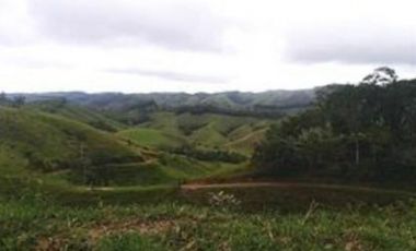 FINCA GANADERA SAN JOSE DEL NUS - PTO BERRIO