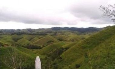 FINCA GANADERA SAN JOSE DEL NUS - PTO BERRIO