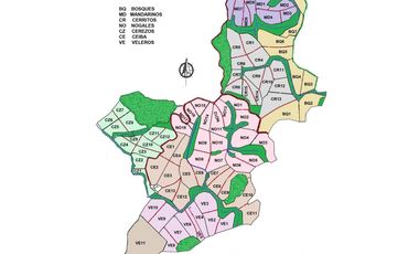 FINCA GANADERA SAN JOSE DEL NUS - PTO BERRIO