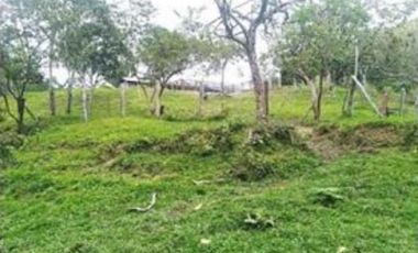 FINCA GANADERA SAN JOSE DEL NUS - PTO BERRIO