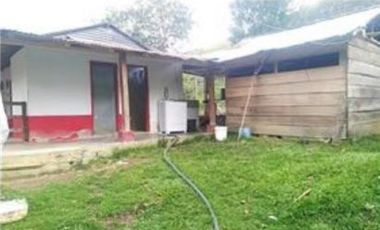 FINCA GANADERA SAN JOSE DEL NUS - PTO BERRIO