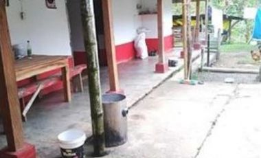 FINCA GANADERA SAN JOSE DEL NUS - PTO BERRIO