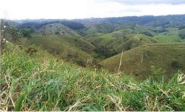 FINCA GANADERA SAN JOSE DEL NUS - PTO BERRIO