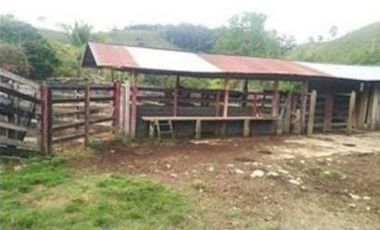 FINCA GANADERA SAN JOSE DEL NUS - PTO BERRIO