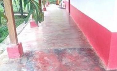 FINCA GANADERA SAN JOSE DEL NUS - PTO BERRIO