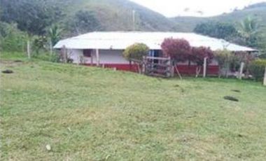 FINCA GANADERA SAN JOSE DEL NUS - PTO BERRIO