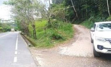 FINCA GANADERA SAN JOSE DEL NUS - PTO BERRIO