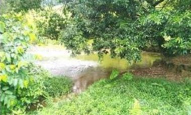 FINCA GANADERA SAN JOSE DEL NUS - PTO BERRIO