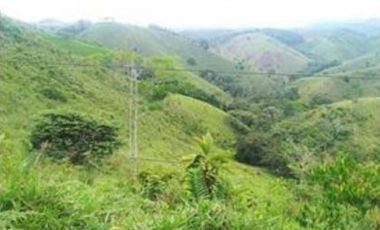 FINCA GANADERA SAN JOSE DEL NUS - PTO BERRIO