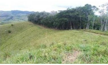 FINCA GANADERA SAN JOSE DEL NUS - PTO BERRIO