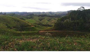 FINCA GANADERA SAN JOSE DEL NUS - PTO BERRIO