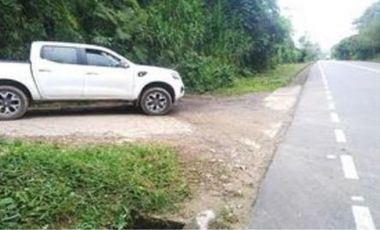 FINCA GANADERA SAN JOSE DEL NUS - PTO BERRIO