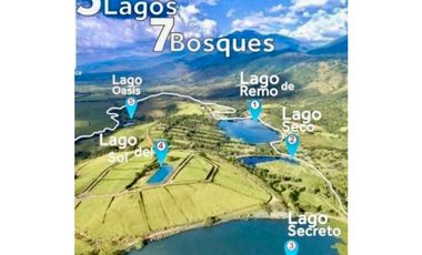 Lote en venta en condominio campestre Lagos de Maracaibo Palmira Valle