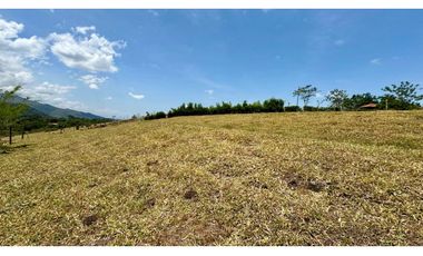 Lote en venta en condominio campestre Lagos de Maracaibo Palmira Valle