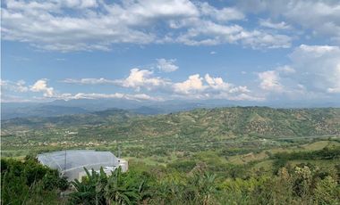 VENTA DE LOTE VA SANTGUEDA PALESTINA | LOTE EN VENTA