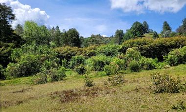 Venta de Lote en Unidad Cerrada en Sector Pantanillo Retiro