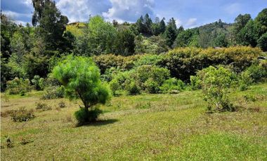 Venta de Lote en Unidad Cerrada en Sector Pantanillo Retiro