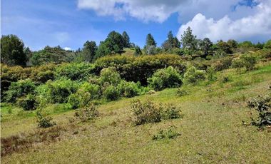 Venta de Lote en Unidad Cerrada en Sector Pantanillo Retiro