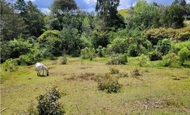 Venta de Lote en Unidad Cerrada en Sector Pantanillo Retiro