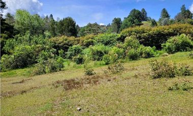 Venta de Lote en Unidad Cerrada en Sector Pantanillo Retiro