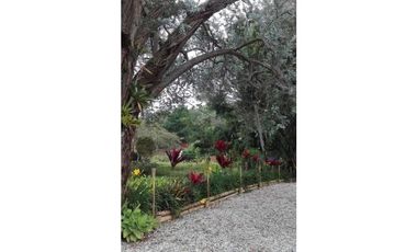CASA FINCA EN VENTA EN GUATAPÉ ANTIOQUIA