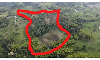 FINCA CAFETERA