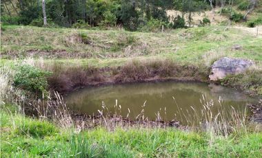 FINCA SE VENDE. TAUSA  CUND.