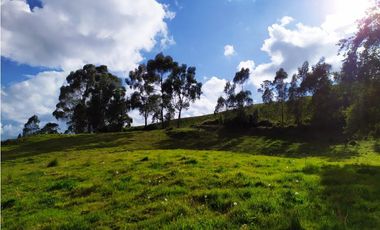 FINCA SE VENDE. TAUSA  CUND.
